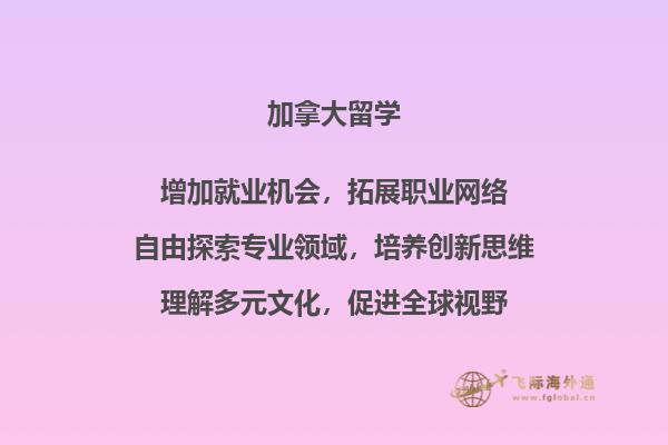 大学双学士学位到底好不好？2.jpg