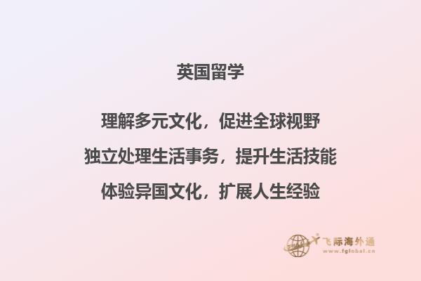 一排书