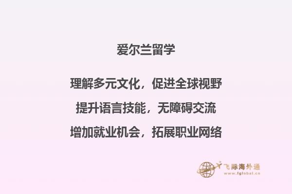 爱尔兰学校