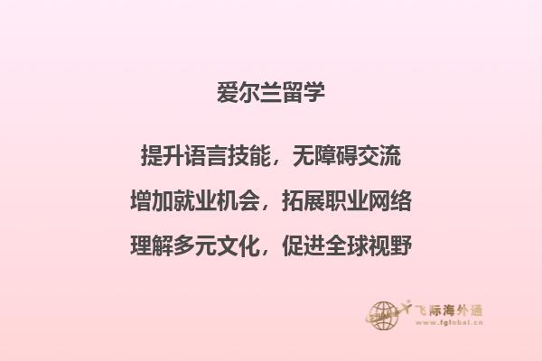 爱尔兰的大学