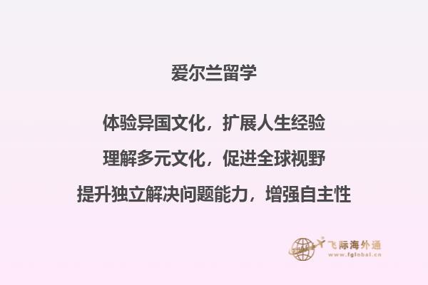 爱尔兰的大学