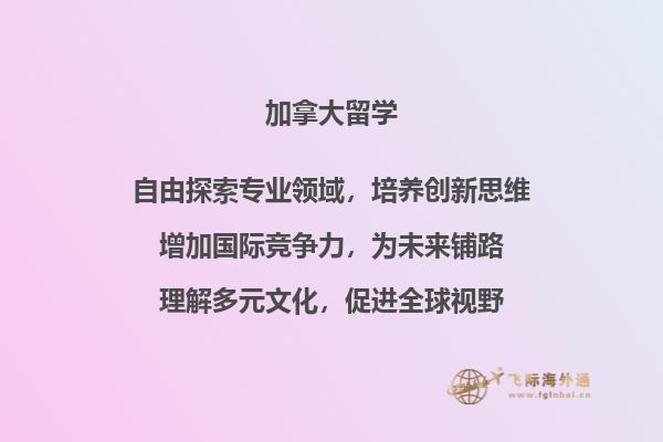 摆放整齐的书