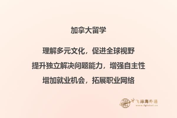 摆放整齐的图书