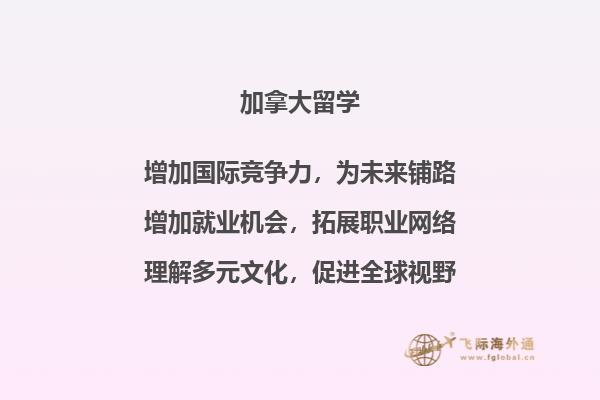 一排书