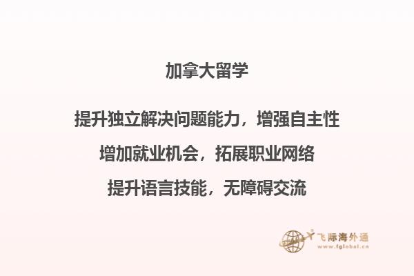 电脑