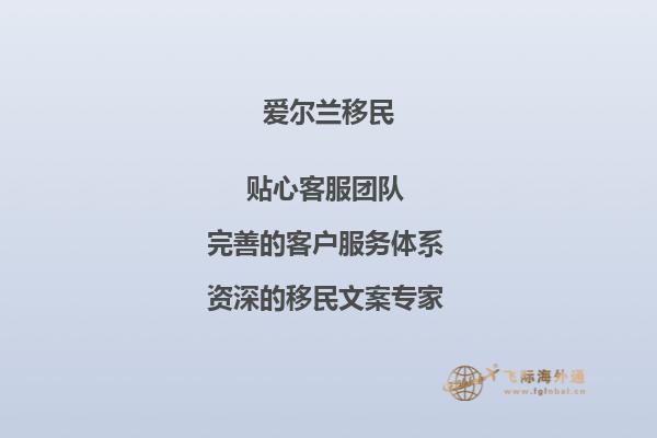 爱尔兰移民方式有哪些