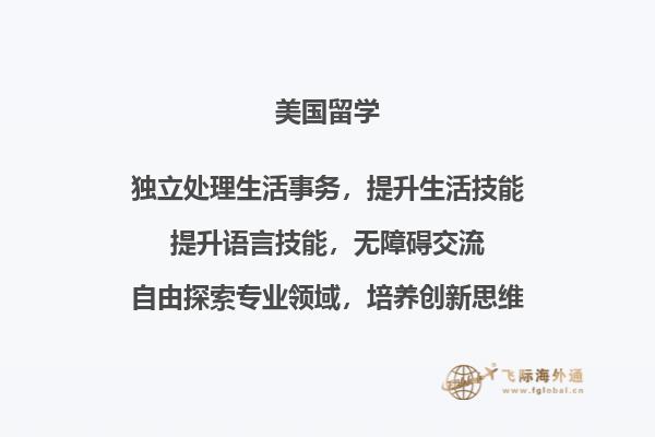 爱尔兰的大学