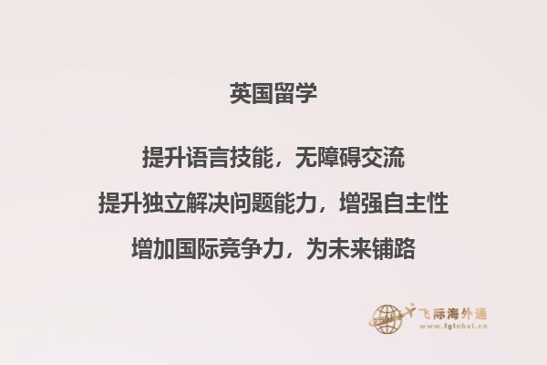 爱尔兰的大学