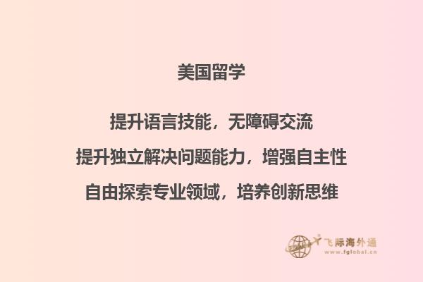 爱尔兰学校