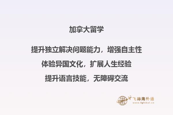 正在黑板上板书