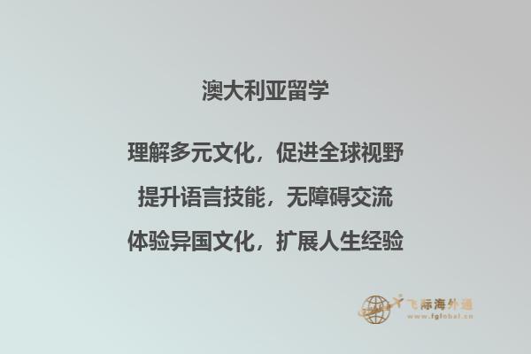 摆放整齐的书本