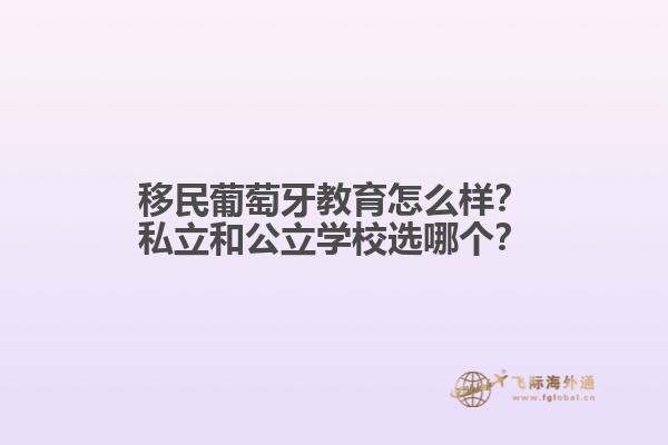 移民葡萄牙教育怎么样？私立和公立学校选哪个？