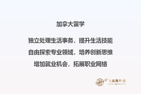 摆放整齐的书