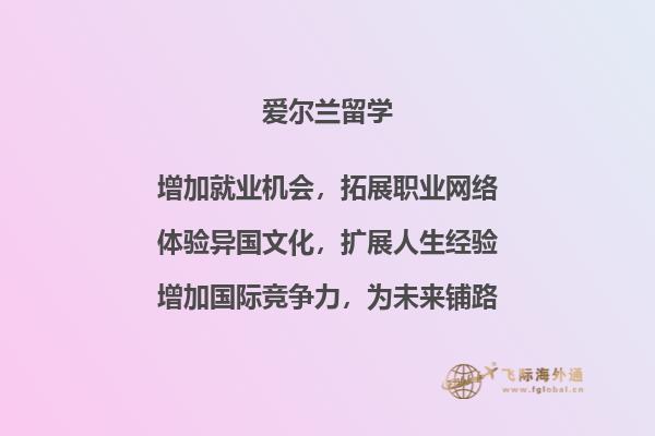 爱尔兰的钱