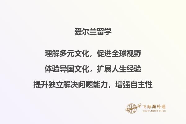 爱尔兰学校