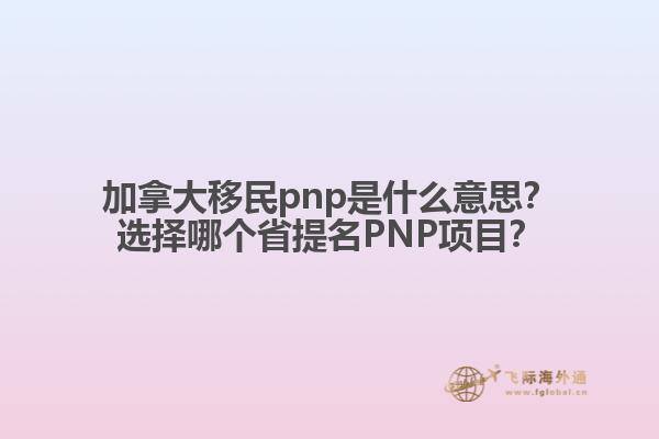 加拿大移民pnp是什么意思？选择哪个省提名PNP项目？