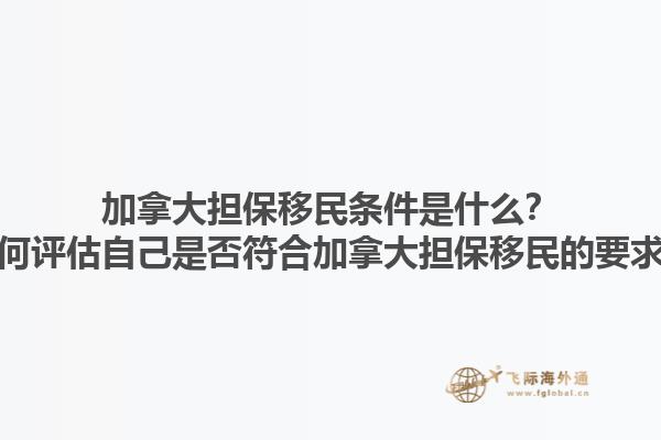 加拿大担保移民条件是什么？如何评估自己是否符合加拿大担保移民的要求？