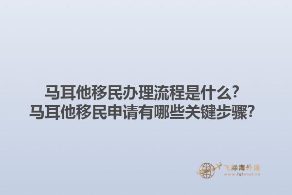 马耳他移民办理流程是什么？马耳他移民申请有哪些关键步骤？