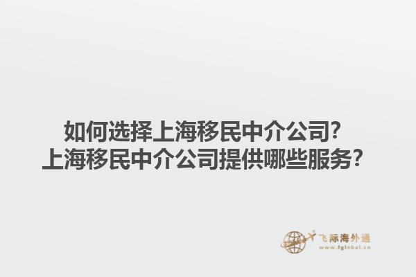 如何选择上海移民中介公司？上海移民中介公司提供哪些服务？