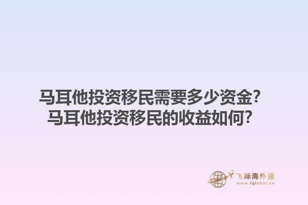 马耳他投资移民需要多少资金？马耳他投资移民的收益如何？