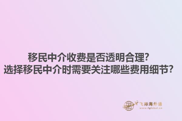 移民中介收费是否透明合理？选择移民中介时需要关注哪些费用细节？