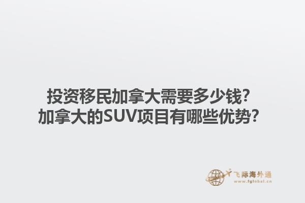 投资移民加拿大需要多少钱？加拿大的SUV项目有哪些优势？