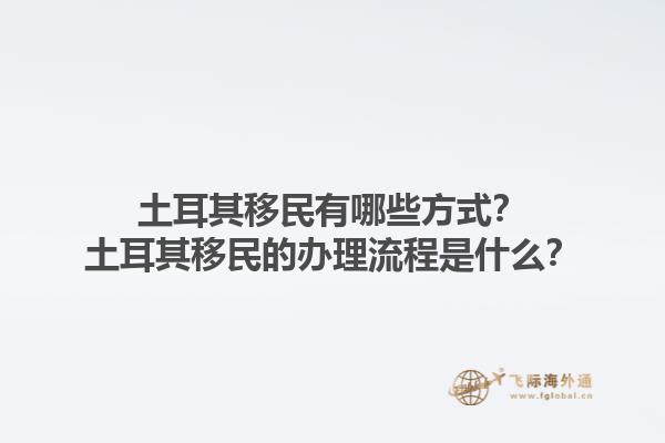 土耳其移民有哪些方式？土耳其移民的办理流程是什么？