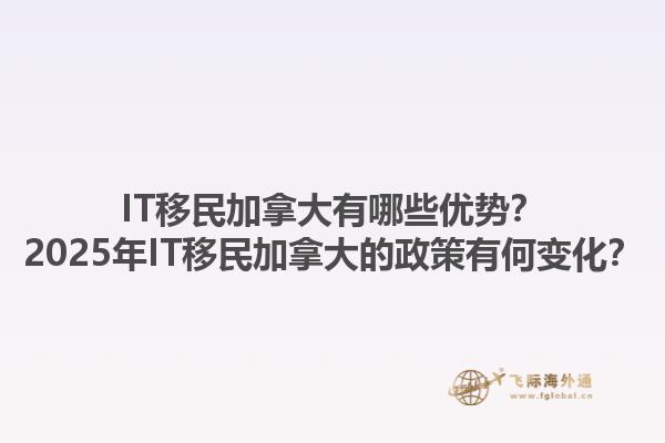 IT移民加拿大有哪些优势？2025年IT移民加拿大的政策有何变化？
