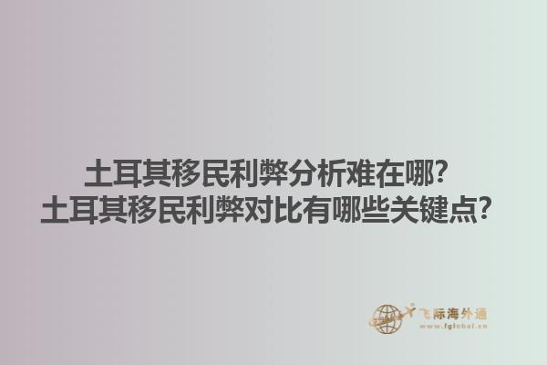 土耳其移民利弊分析难在哪？土耳其移民利弊对比有哪些关键点？