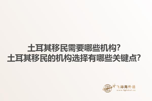 土耳其移民需要哪些机构？土耳其移民的机构选择有哪些关键点？