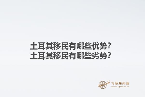 土耳其移民有哪些优势？土耳其移民有哪些劣势？