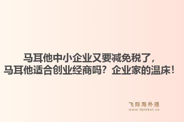 马耳他中小企业又要减免税了，马耳他适合创业经商吗？企业家的温床！1.jpg