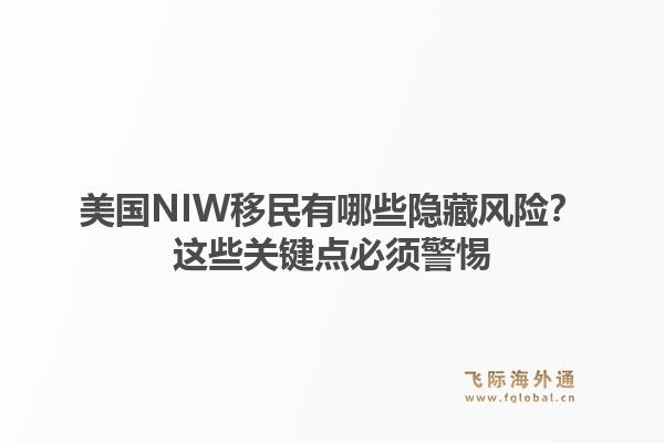 美国NIW移民有哪些隐藏风险？这些关键点必须警惕1.jpg