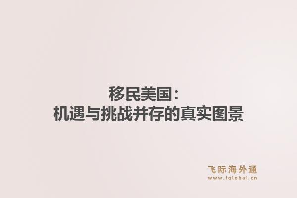 移民美国：机遇与挑战并存的真实图景