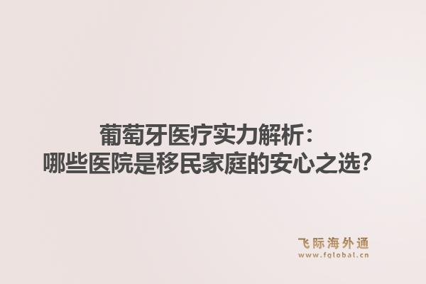 葡萄牙医疗实力解析：哪些医院是移民家庭的安心之选？