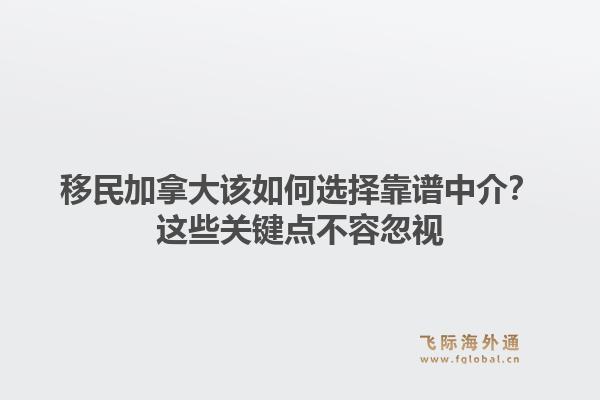 移民加拿大该如何选择靠谱中介？这些关键点不容忽视