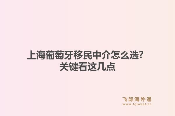 上海葡萄牙移民中介怎么选？关键看这几点
