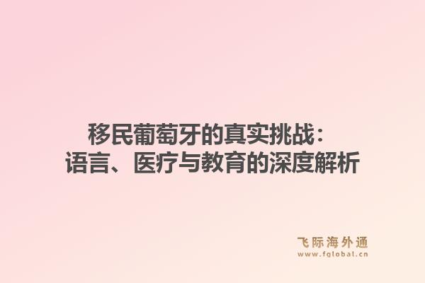 移民葡萄牙的真实挑战：语言、医疗与教育的深度解析