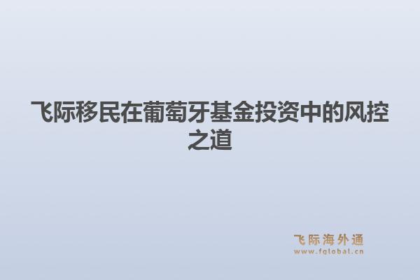 飞际移民在葡萄牙基金投资中的风控之道