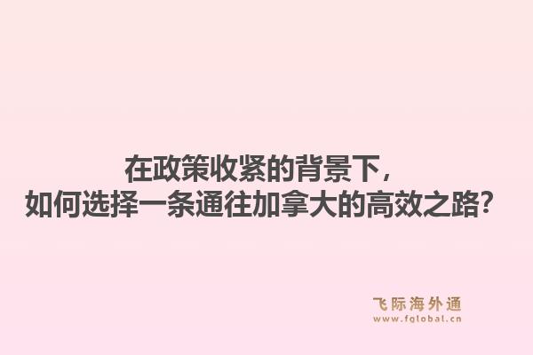 在政策收紧的背景下，如何选择一条通往加拿大的高效之路？