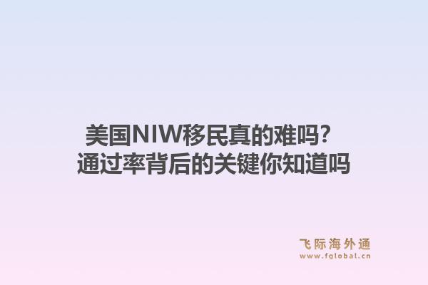 美国NIW移民真的难吗?通过率背后的关键你知道吗
