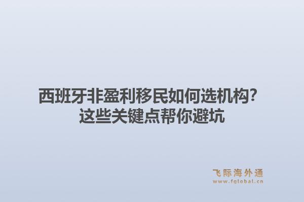 西班牙非盈利移民如何选机构?这些关键点帮你避坑