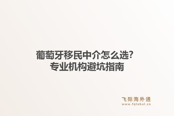 葡萄牙移民中介怎么选?专业机构避坑指南