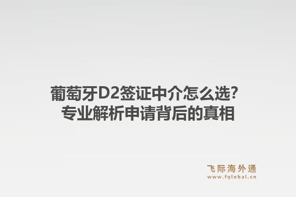 葡萄牙D2签证中介怎么选?专业解析申请背后的真相