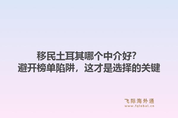 移民土耳其哪个中介好?避开榜单陷阱,这才是选择的关键