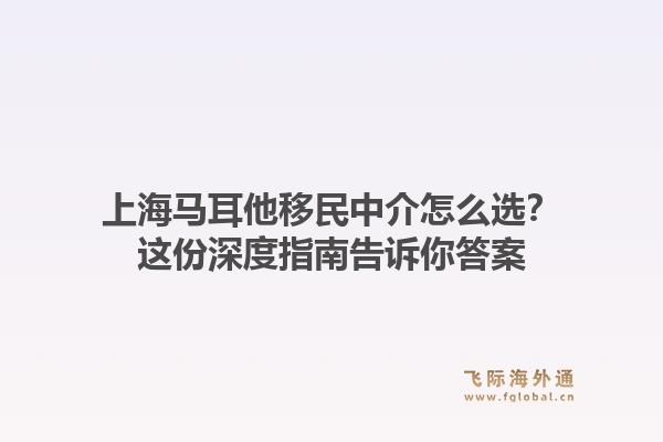 上海马耳他移民中介怎么选？这份深度指南告诉你答案