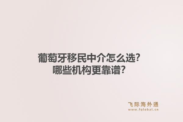 葡萄牙移民中介怎么选？哪些机构更靠谱？
