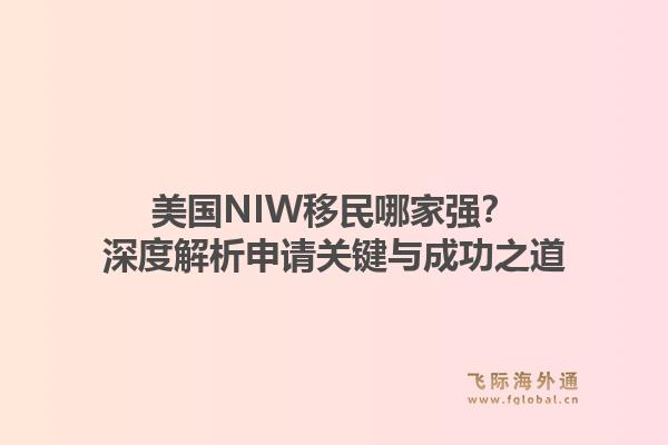 美国NIW移民哪家强？深度解析申请关键与成功之道