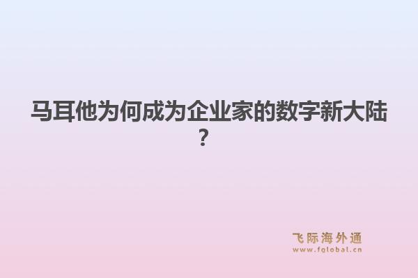 马耳他为何成为企业家的数字新大陆？