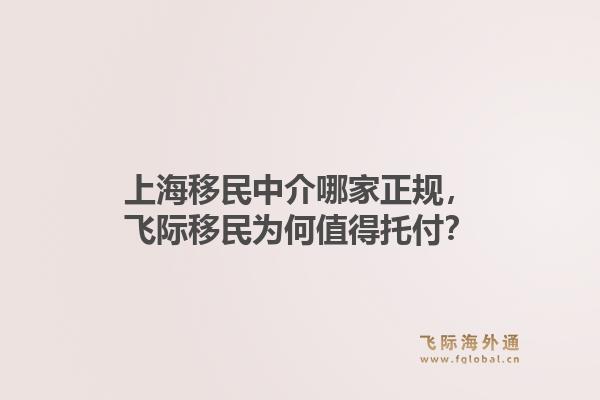 上海移民中介哪家正规，飞际移民为何值得托付？